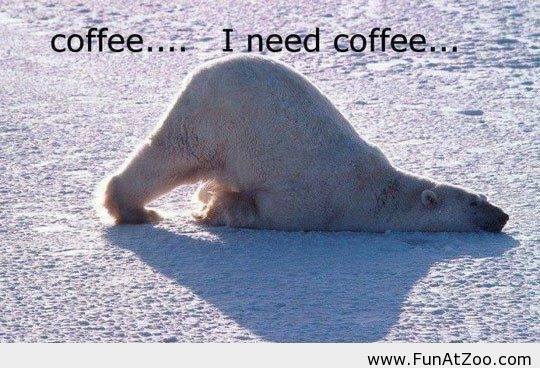 12806217_801052526706408_6460487371019819080_n