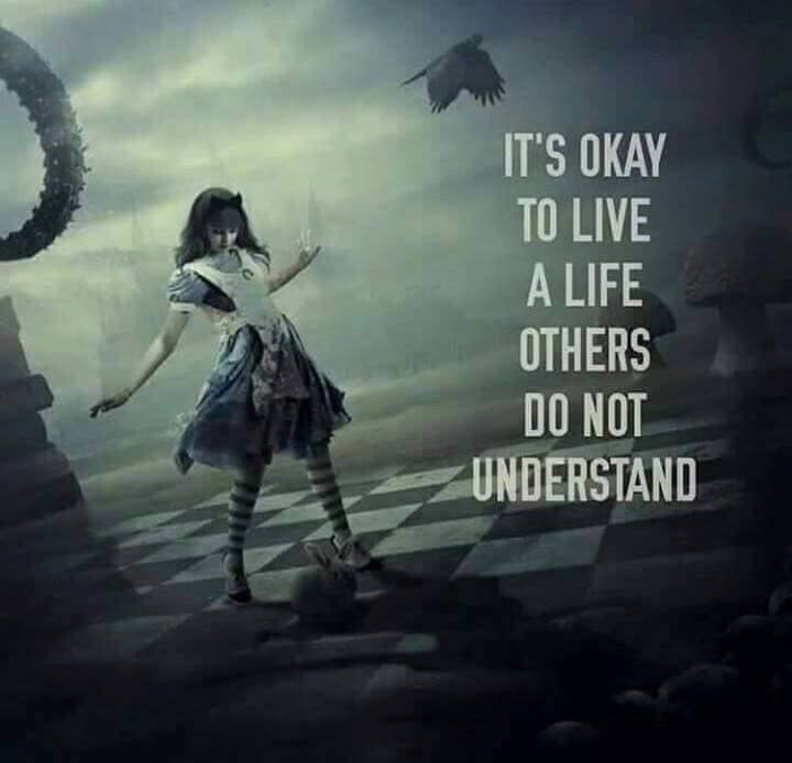 ALICE LIVE A LIFE