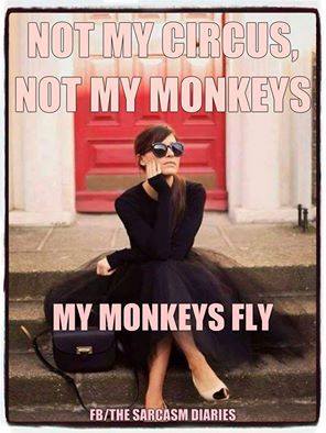 MY MONKEYS FLY 2.jpg