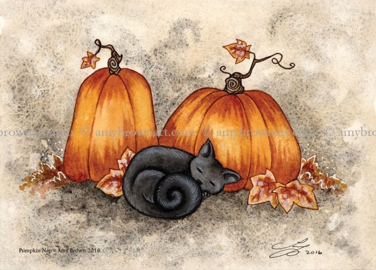 AB PUMPKIN NAP.JPG