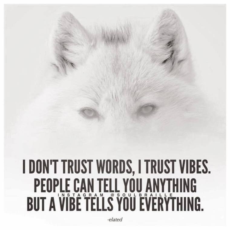 TRUST VIBES.jpg