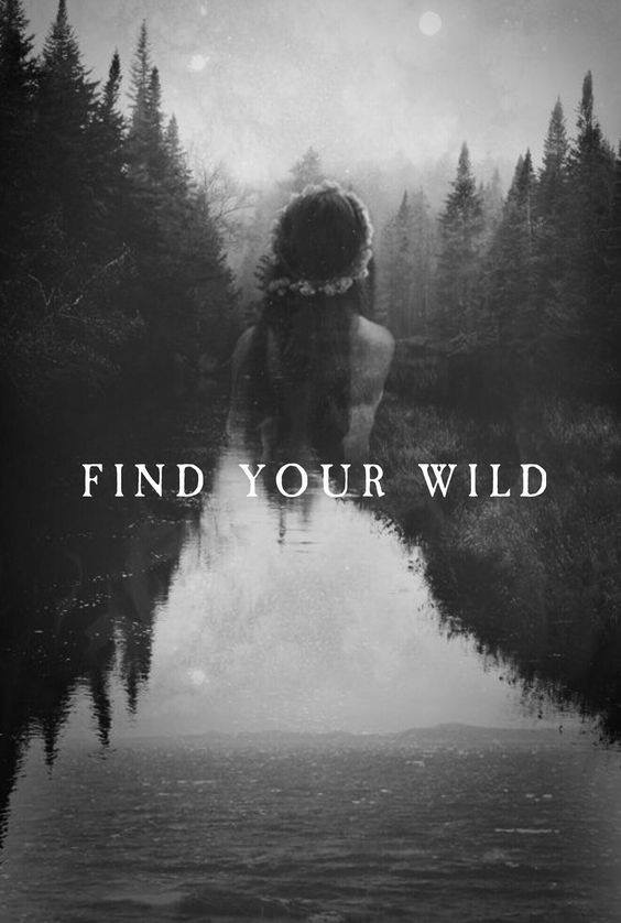 FIND YOUR WILD.JPG