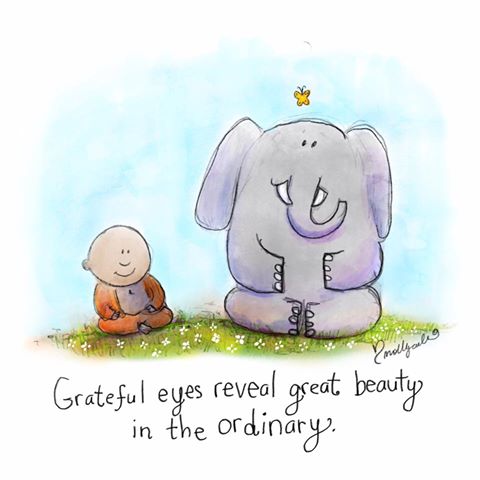 GRATEFUL EYES.jpg