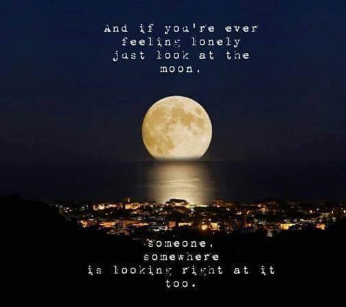 LOOK AT THE MOON.JPG