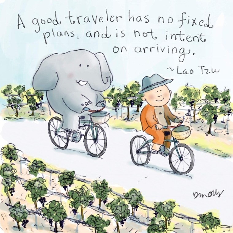 TRAVELER.JPG