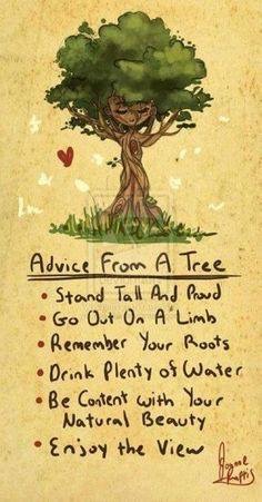 ADVICE FROM A TREE.JPG