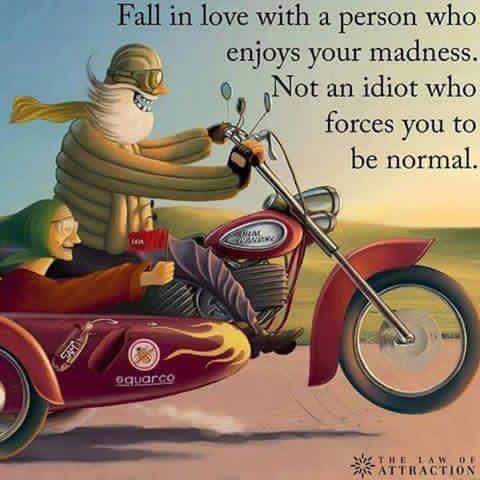 ENJOY YOUR MADNESS.JPG