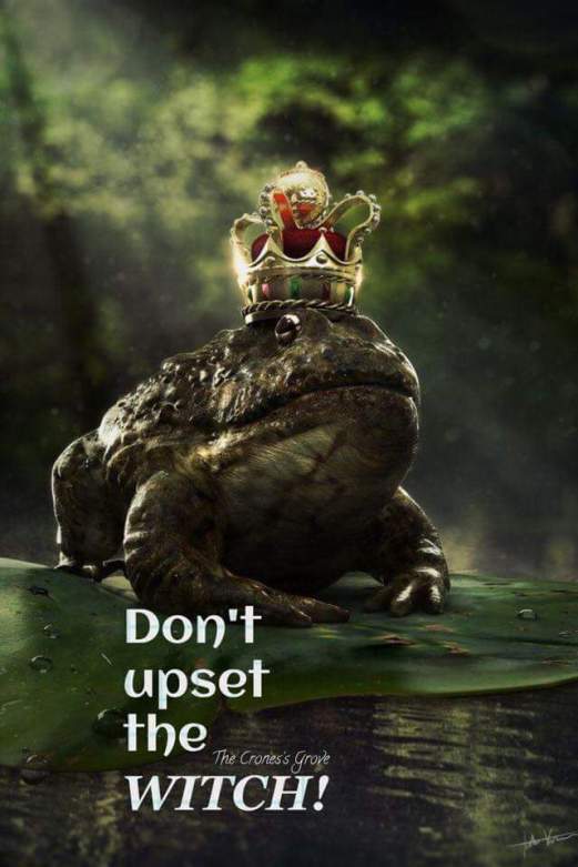 DONT UPSET THE WITCH.JPG