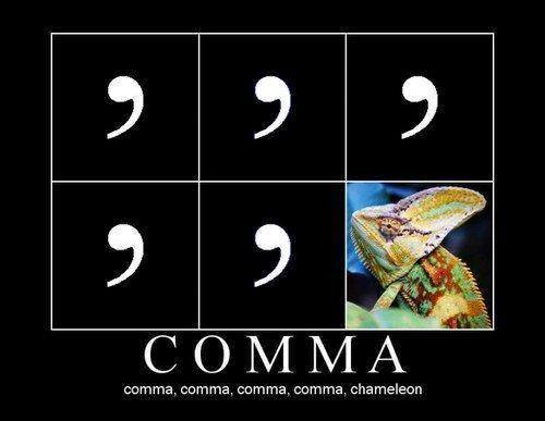 COMMA COMMA.jpg