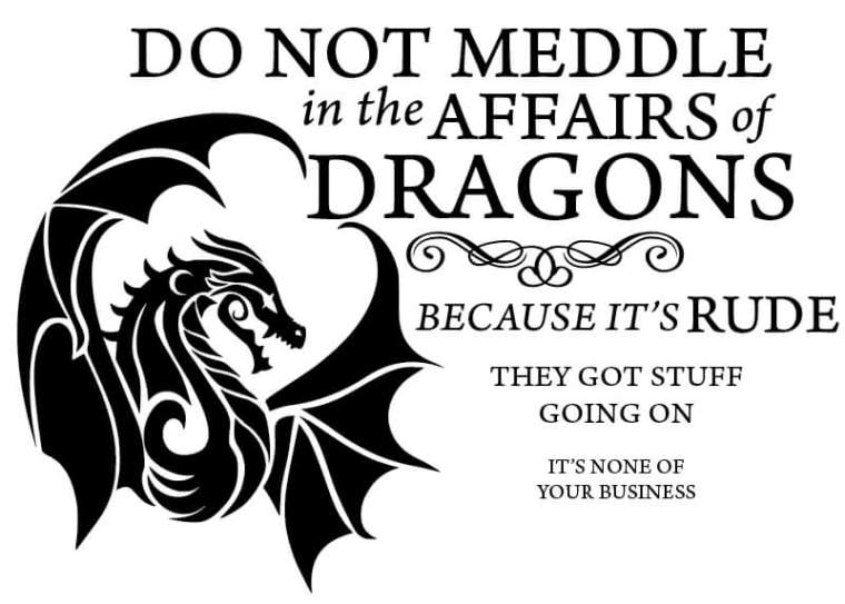 DONT MEDDLE ITS RUDE.JPG