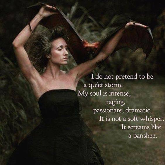 SOUL SCREAMS LIKE A BANSHEE.JPG