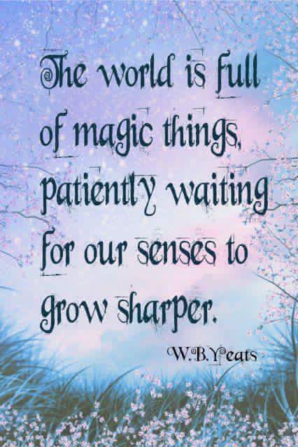 WBY FULL OF MAGIC.JPG