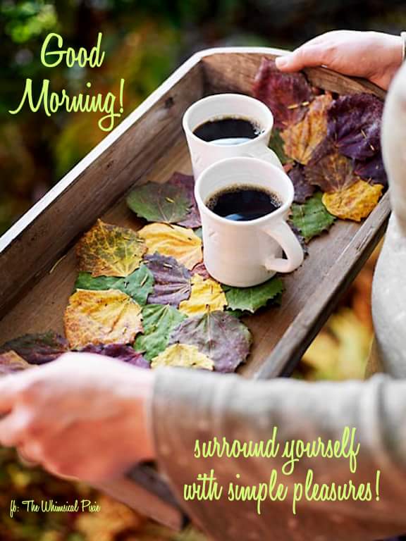 GM SIMPLE PLEASEURES.JPG