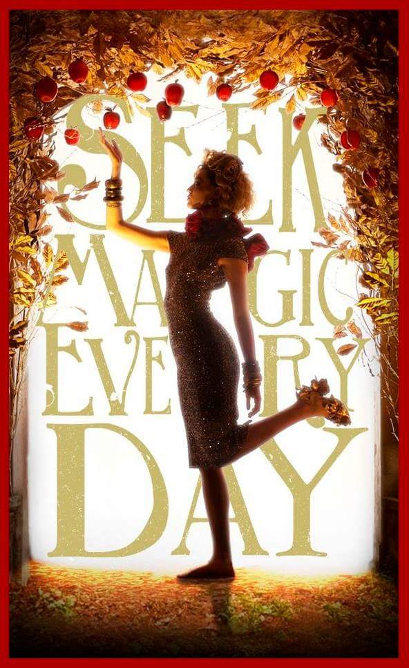 SEEK MAGIC.JPG