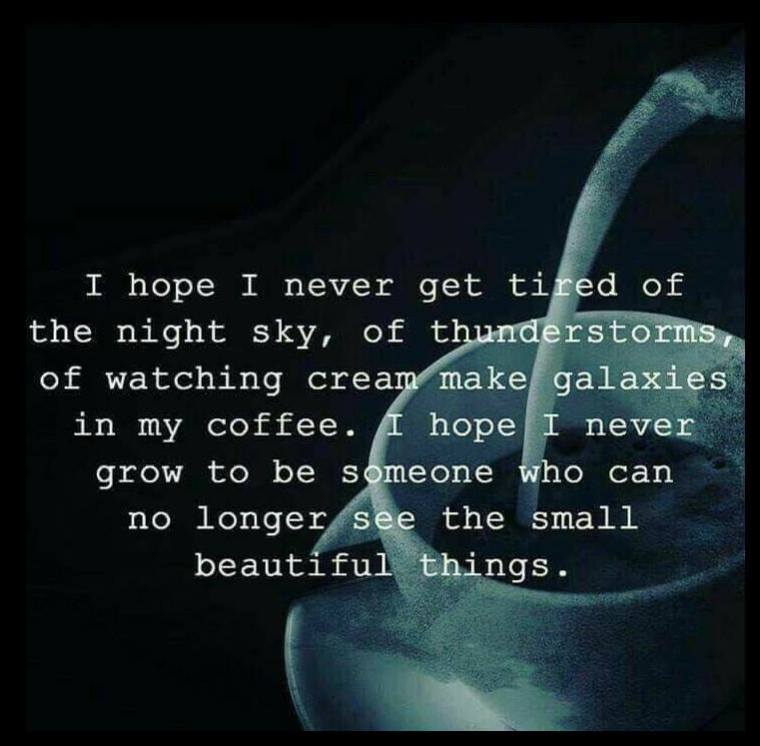 SMALLBEAUTIFUL THINGS.jpg