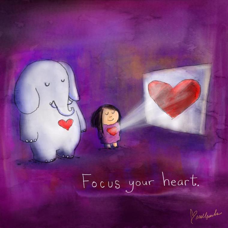 BD FOCUS YOUR HEART.jpg