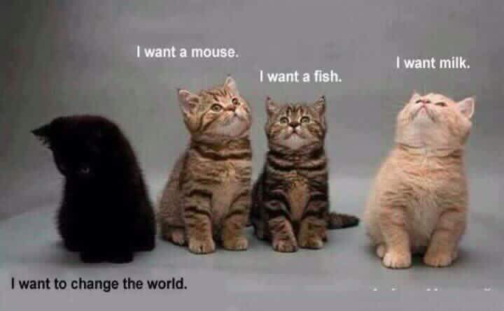 CHANGE THE WORLD.JPG