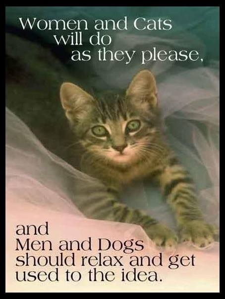 WOMEN AND CATS.JPG