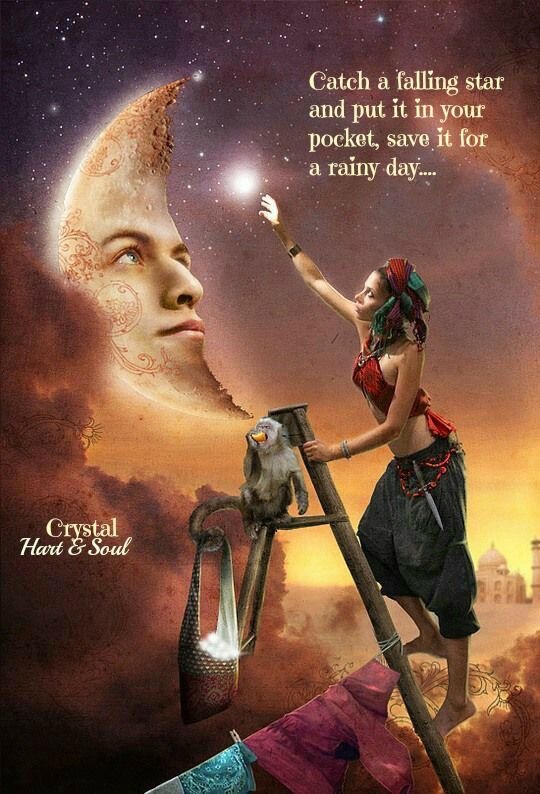 CATCH A FALLING STAR.JPG