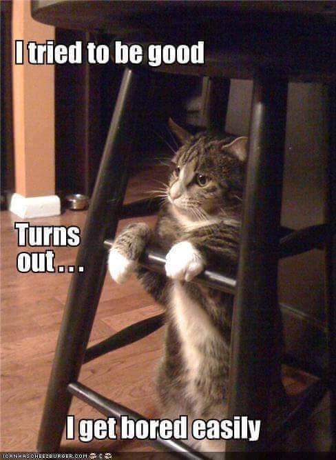 I GET BORED EASILY.JPG