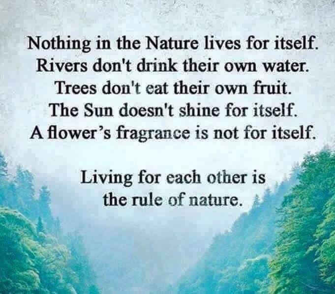 LIVE FOR EACH OTHER.jpg