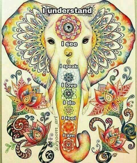 ELEPHANT CHAKRAS.jpg