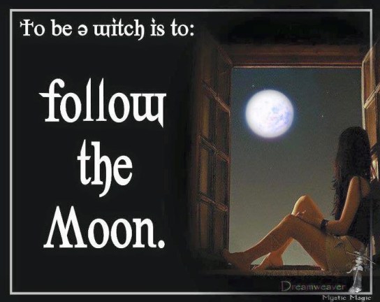FOLLOW THE MOON.JPG