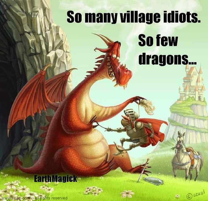 SO FEW DRAGONS.jpg