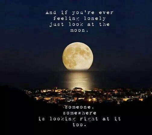 LOOK TO THE MOON.JPG