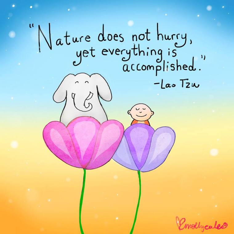 LT NATURE - Copy.jpg