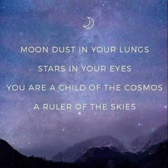 OF THE COSMOS.JPG