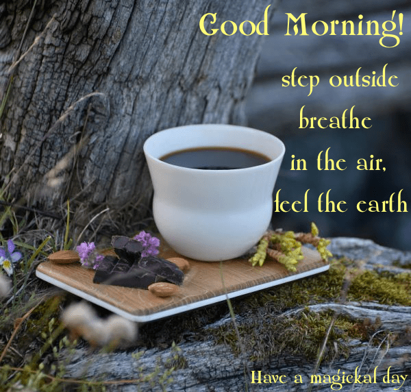 19059649_2024480677578159_3669971227365402731_n