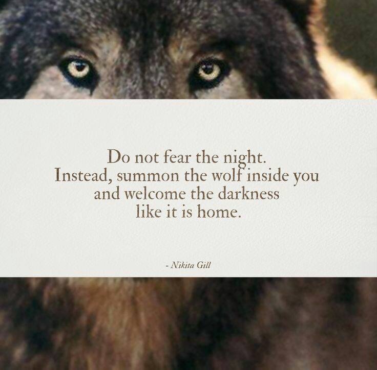 DO NOT FEAR THE NIGHT.JPG