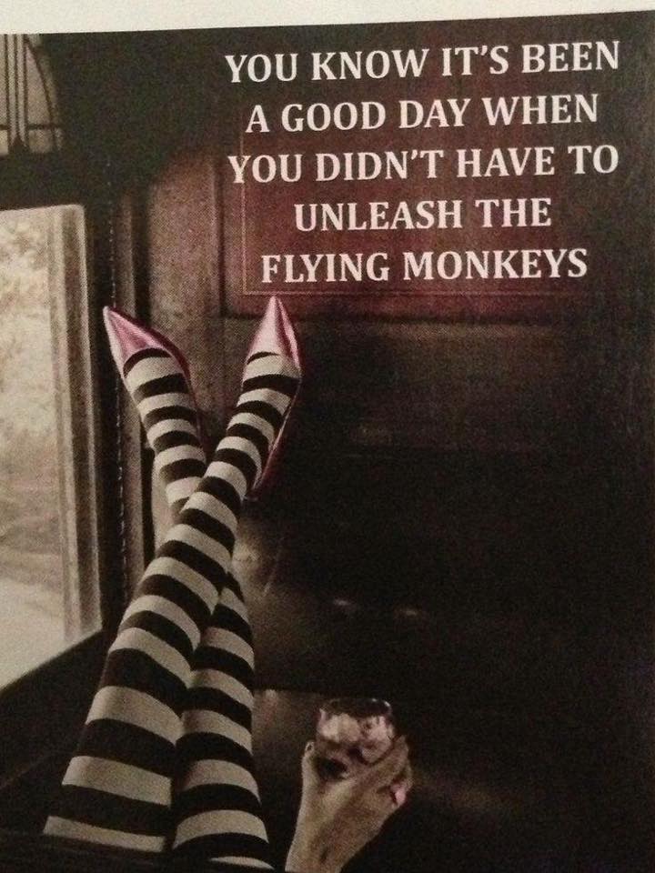 No flying monkeys.jpg