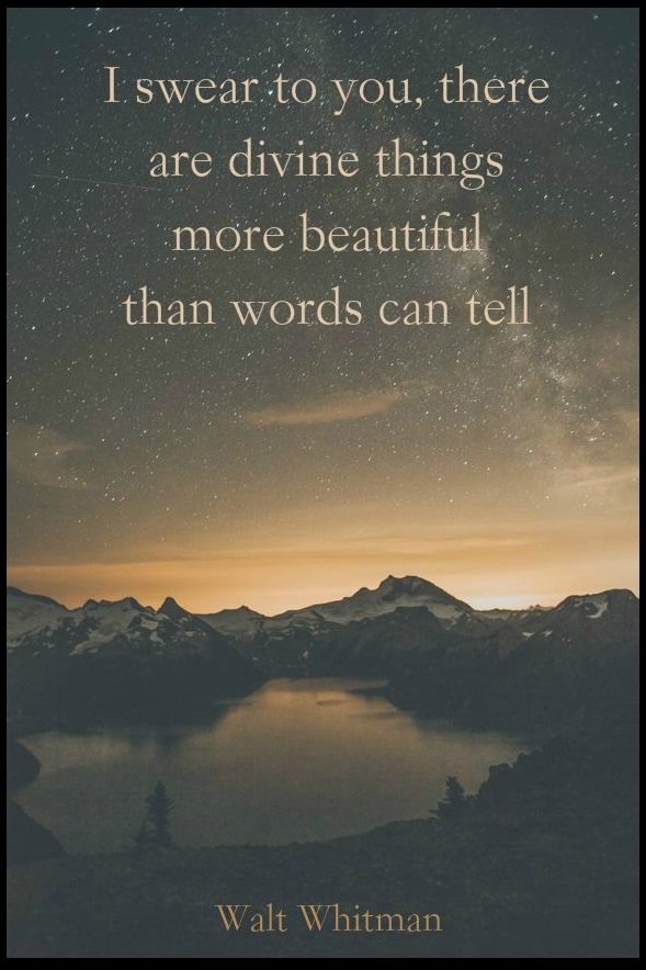 WW DIVINE THINGS.JPG