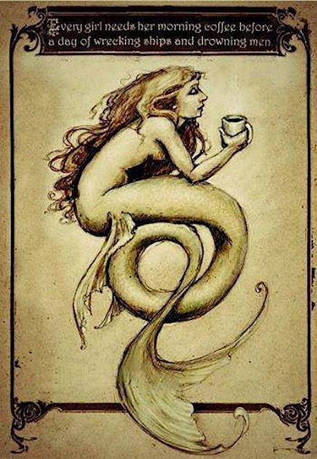 COFFEE SIREN.JPG