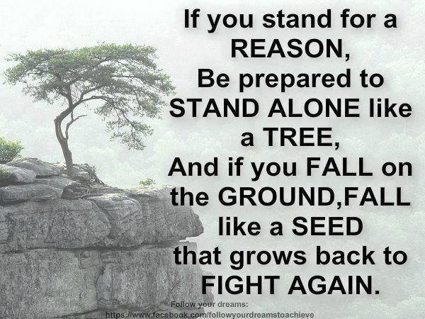 FIGHT AGAIN.jpg