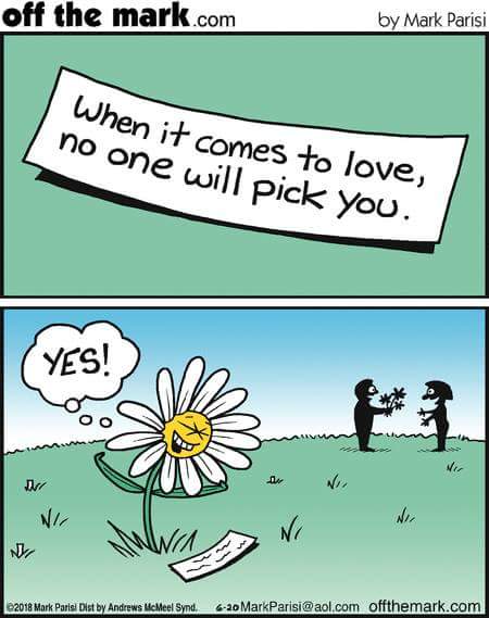 NO ONE WILL PICK YOU.JPG