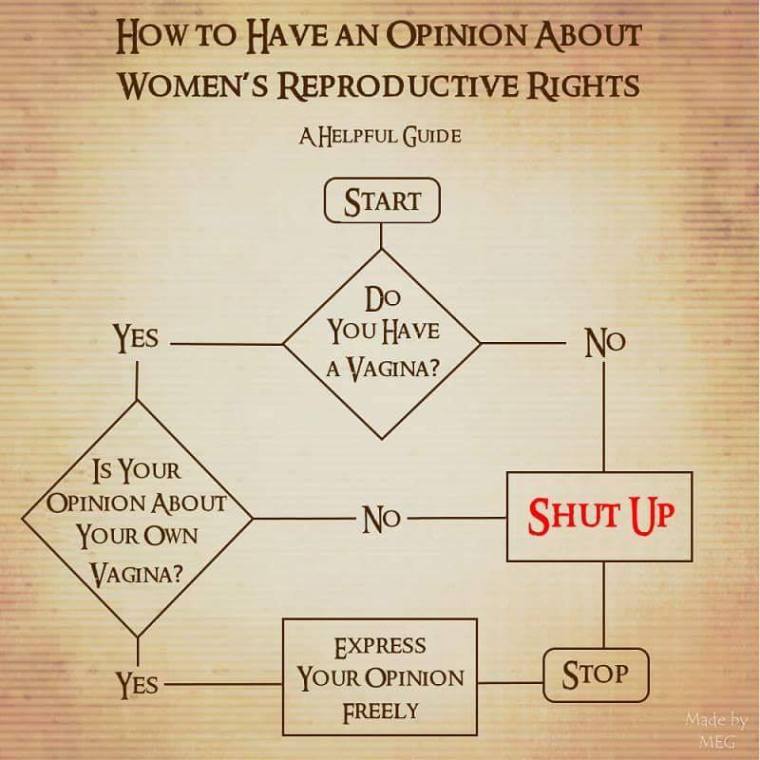 OP-ED REPRO RIGHTS.jpg