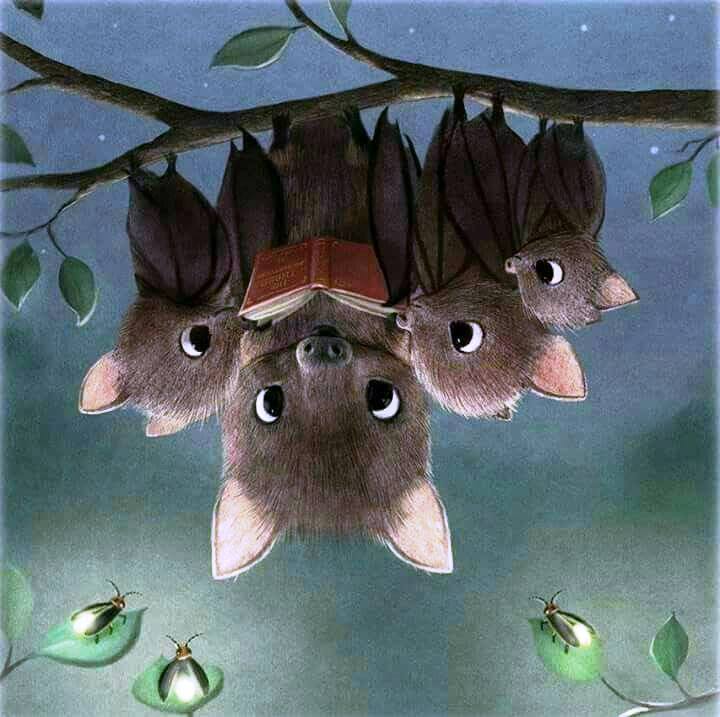 BAT BEDTIME.jpg