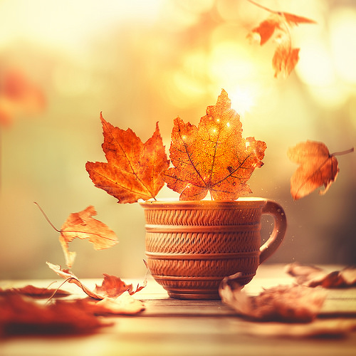 CUP OF AUTUMN.jpg