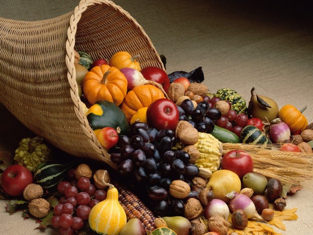 Fruits-Fall-Harvest-for-Methodist-Church.jpg