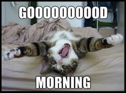 GOOD MORNING.JPG