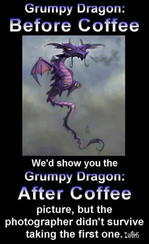 GRUMPY DRAGON.JPG