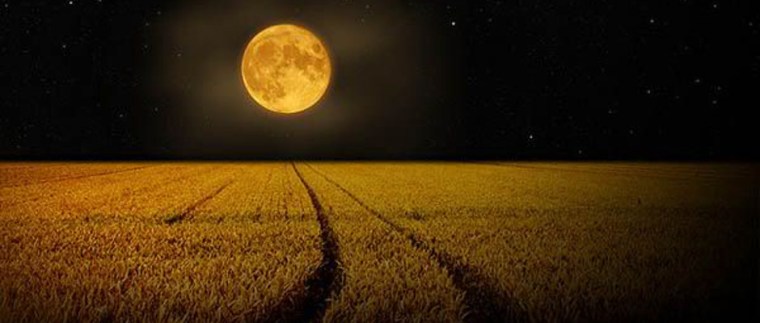 halloween-full-moon-photos-part2-3-2.jpg