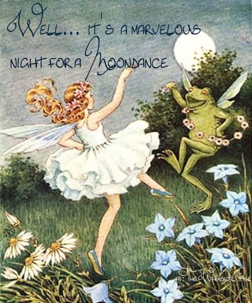 MOONDANCE.JPG