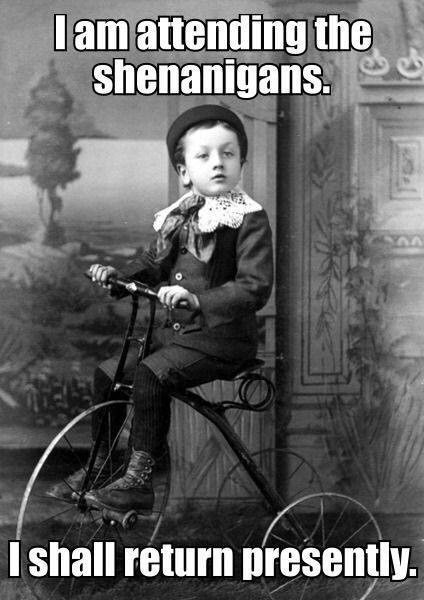 SHENANIGANS.JPG