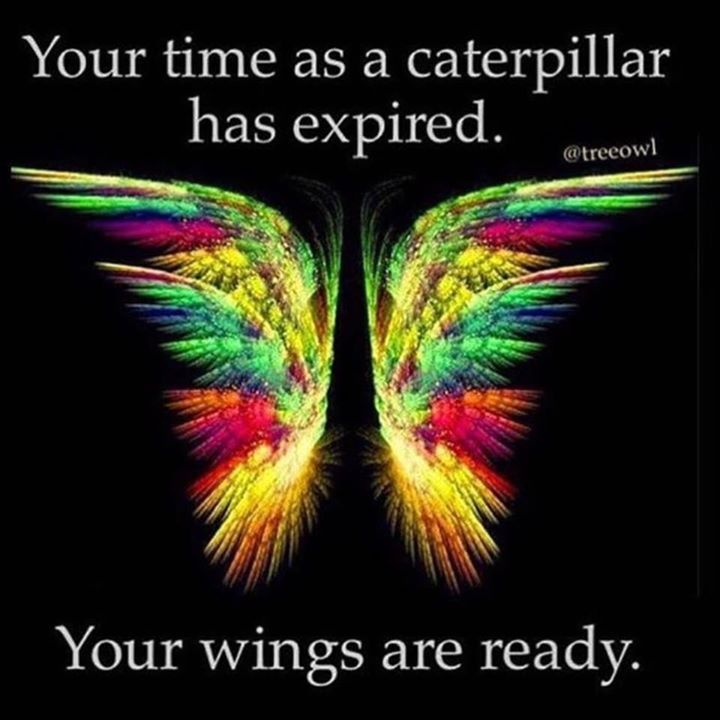 YOUR WINGS ARE READY.jpg