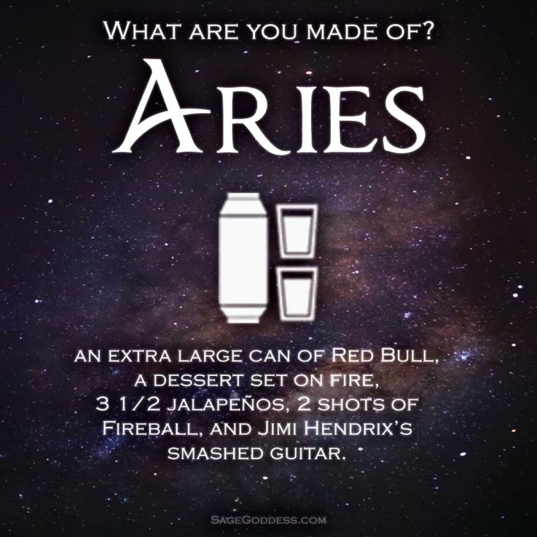 ARIES MADE OF.jpg