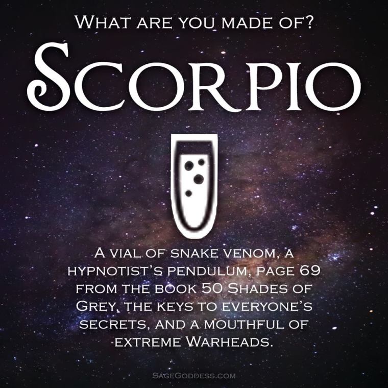 SCORPIO MADE OF.jpg